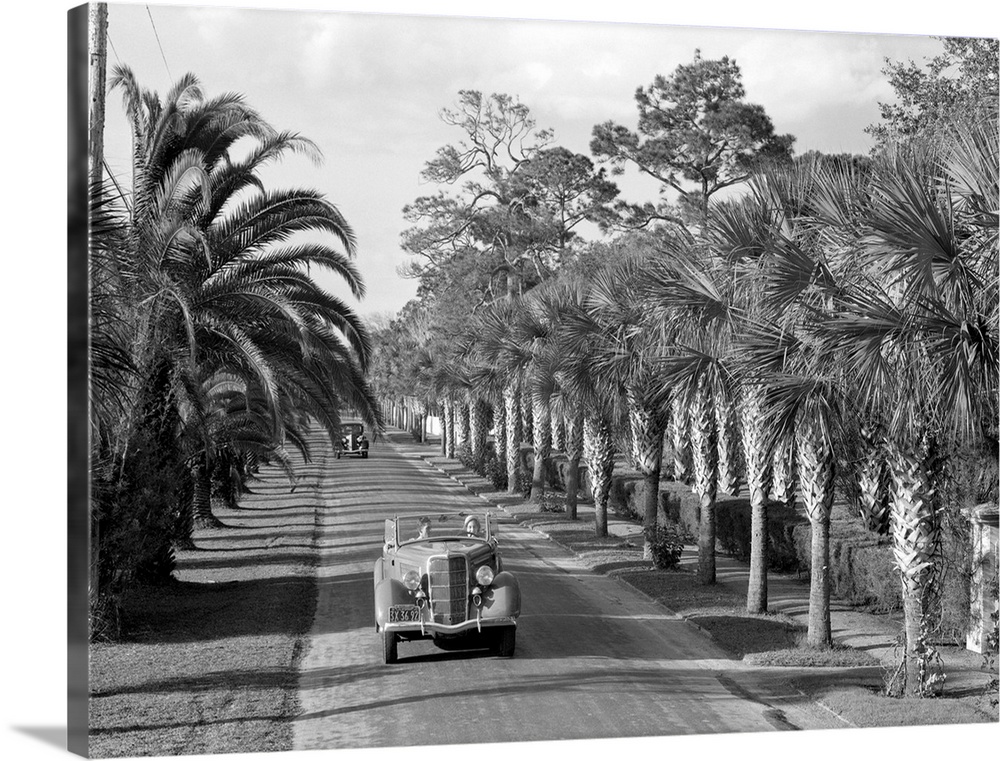 Daytona, FL: Photo shows an automobile on a road lined with palm trees in Daytona, Florida. Models: Phyllis Jones and Bill...