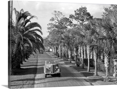 Couple Ride In Car On A Tree-Lined Street, Dayton, FL