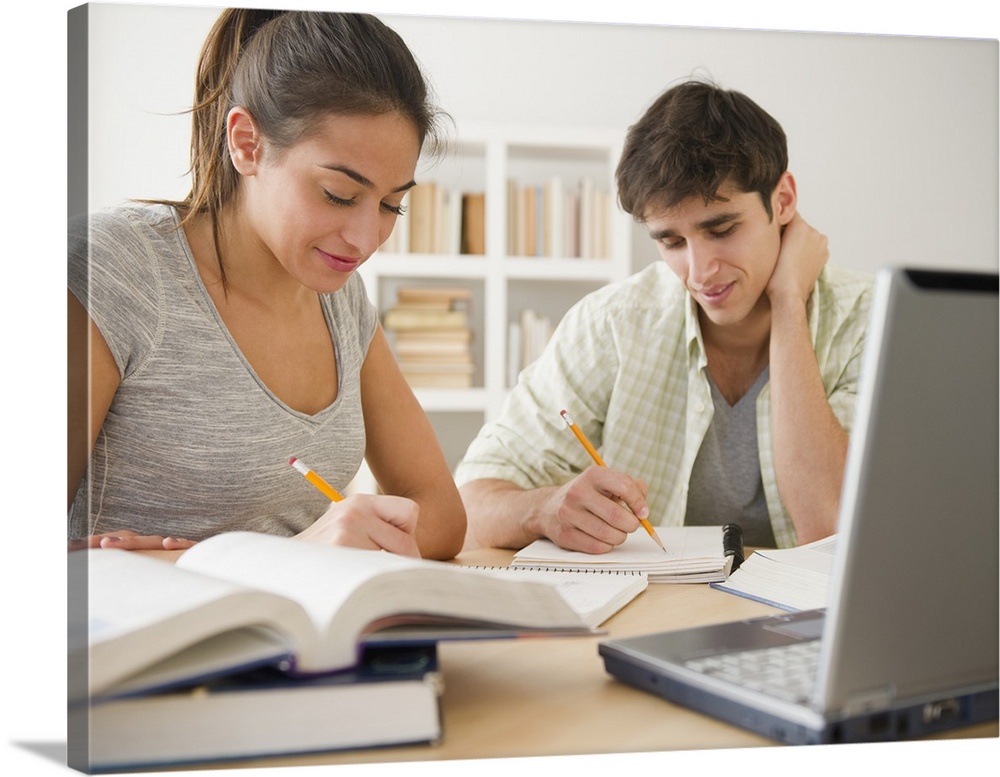 Couple studying together