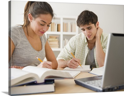 Couple studying together