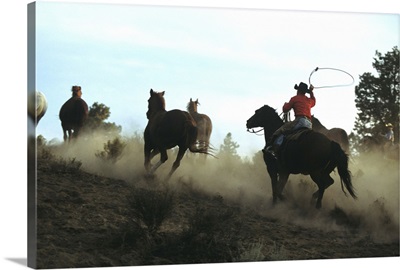 Cowboy driving horses with lasso, Oregon, USA