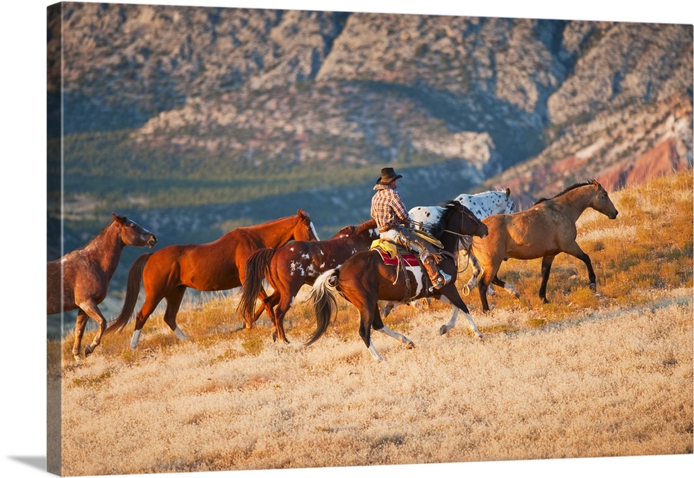 Cowboy Herding Wild Horses