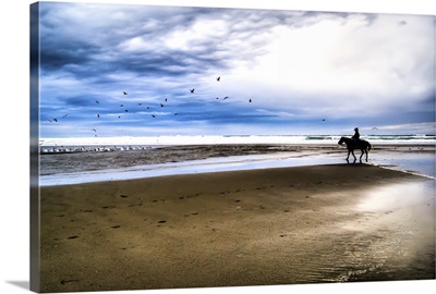 Cowboy riding horse on beach