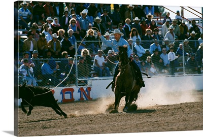 Cowboy Roping Calf At Rodeo
