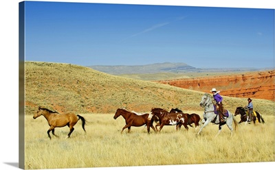 Cowboys Herding Horses