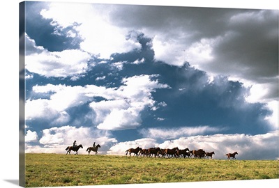 Cowboys herding horses near Fairplay in Colorado
