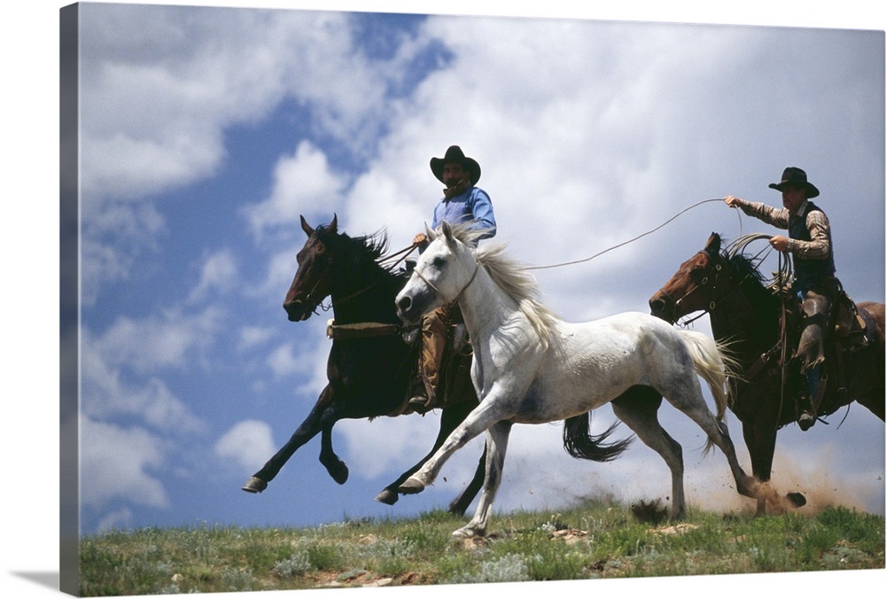 Cowboys lassoing horse