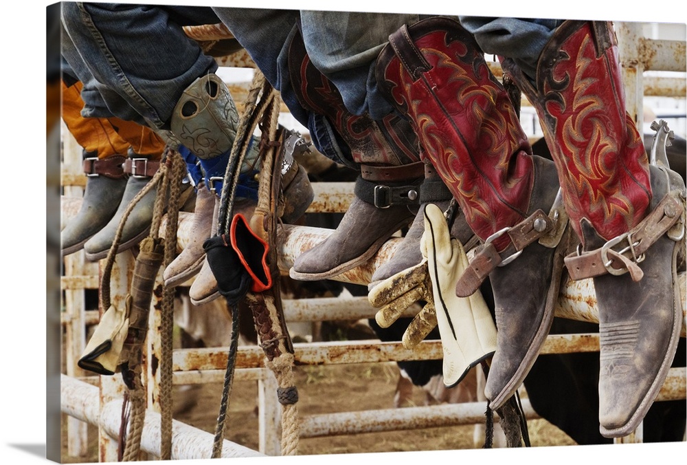 Cowboys sitting on a cattle stall