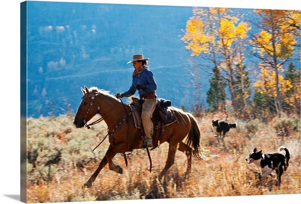 Cowgirl and her dogs