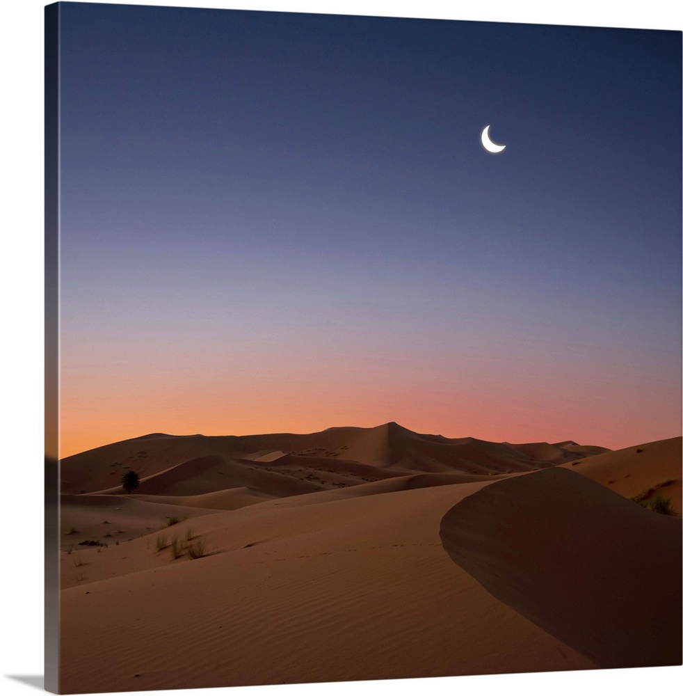 Crescent moon over dunes in Sahara Desert at dawn, Morocco.