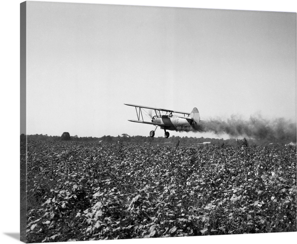 Crop-dusting plane flies low over field. Undated photograph. BPA2