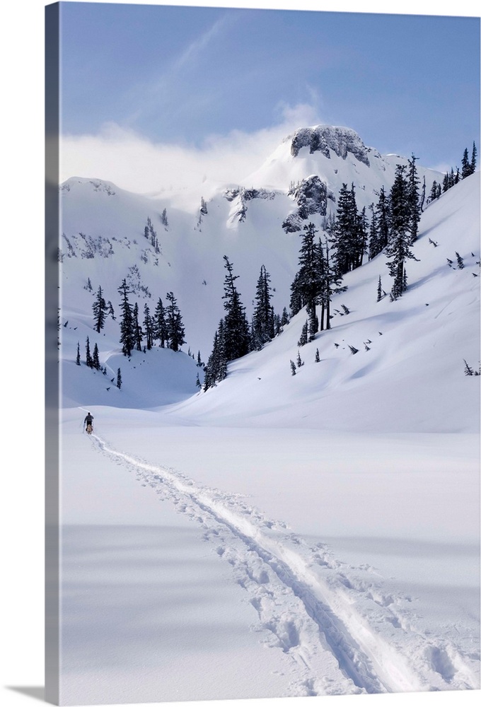 Cross country ski tracks in Heather Meadows Recreation Area, North Cascades Washington