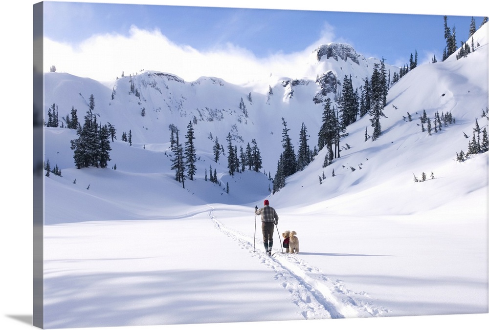 Cross country skier and dog touring in Heather Meadows Recreation Area, North Cascades Washington