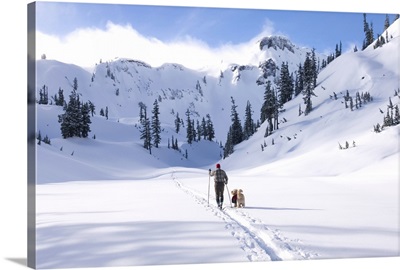 Cross country skier and dog touring in Heather Meadows Recreation Area