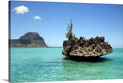 Crystal rock, composed of coral, with Le Morne Mountain in the background.