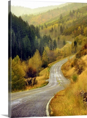 Curved mountain road with autumn trees in Cascade Springs.