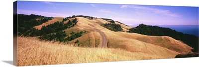 Curved road over the hillside, Mount Tamalpais