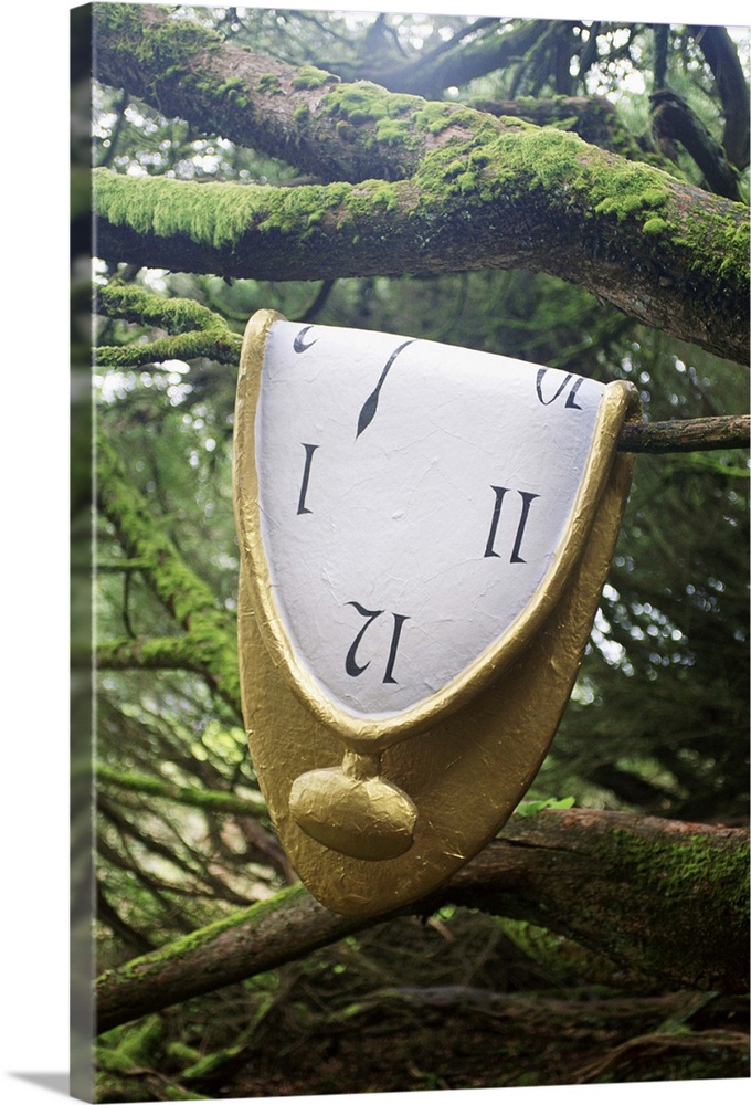 Dali melting clock on branch