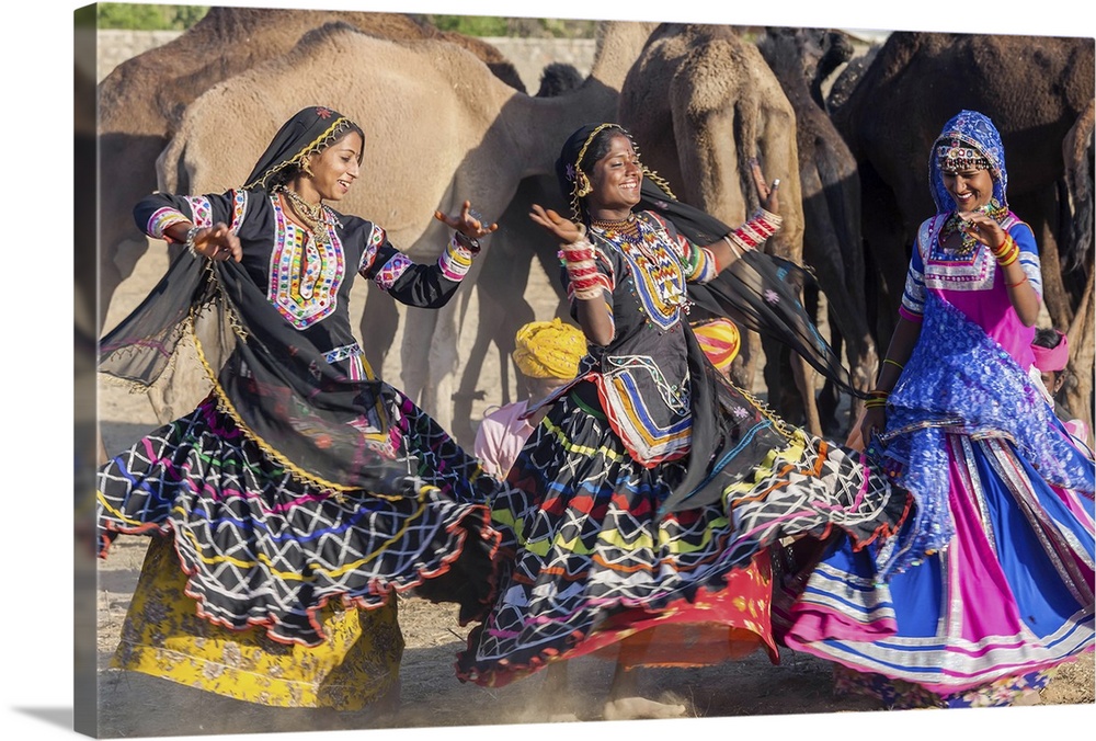 Dancers with camels, Pushkar camel fair, Pushkar, Rajasthan State, India, Asia