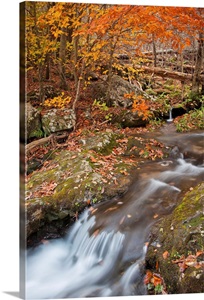 Dark Hollow trail, Virginia image thumbnail