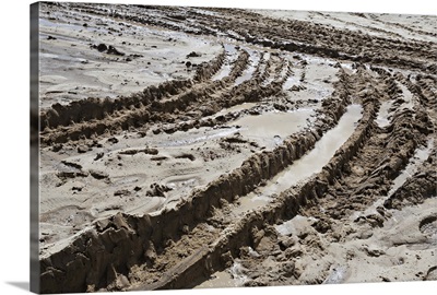 Deep tire tracks imprinted on a muddy terrain