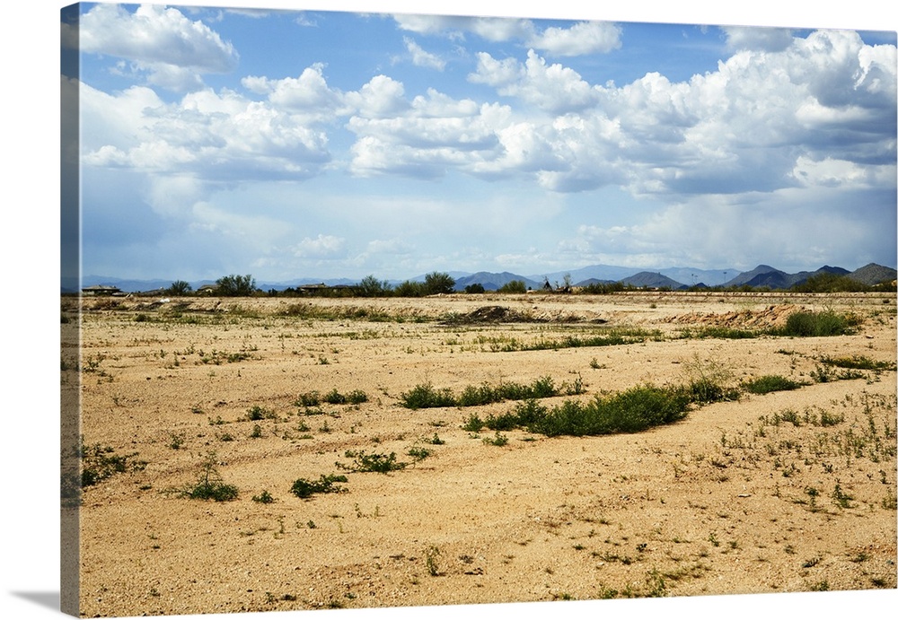 desert landscape with mountains in the distance.