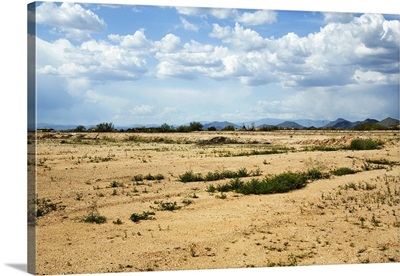 Desert landscape with mountains in the distance