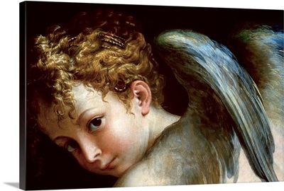 Detail Of Cupid's Head From Cupid Shaping His Bow By Parmigianino