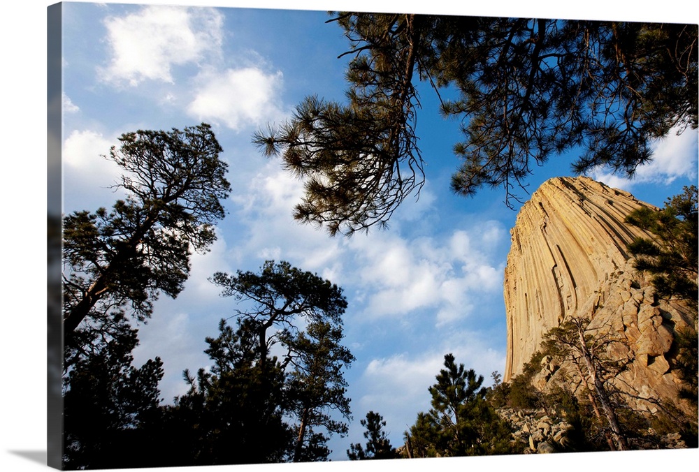 USA, Wyoming, Devils Tower National Monument, Devils Tower is a 1267 foot tall monolithic igneous intrusion in the Black H...