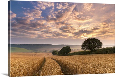 Devon sunrise, England