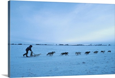 Dog sled team , Canada , North America