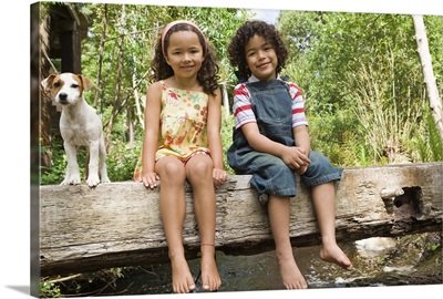 Dog with boy and girl on footbridge over stream