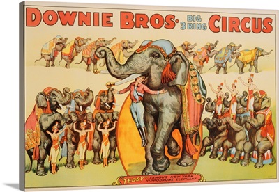 Downie Bros. Big 3 Ring Circus Poster