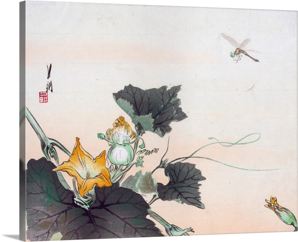 Dragonfly and a Pumpkin Blossom (Kabocha ni tonbou). Circa 1900. Color woodcut. 24.7 x 30.3 cm. Private collection.