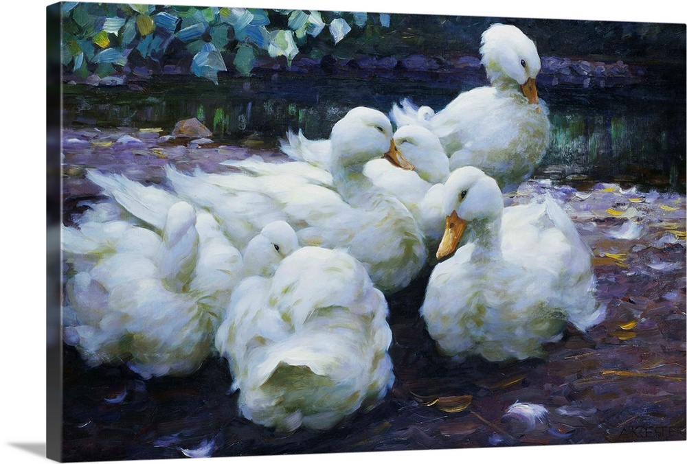 Ducks on the Bank of a River