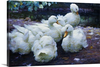 Ducks on the Bank of a River