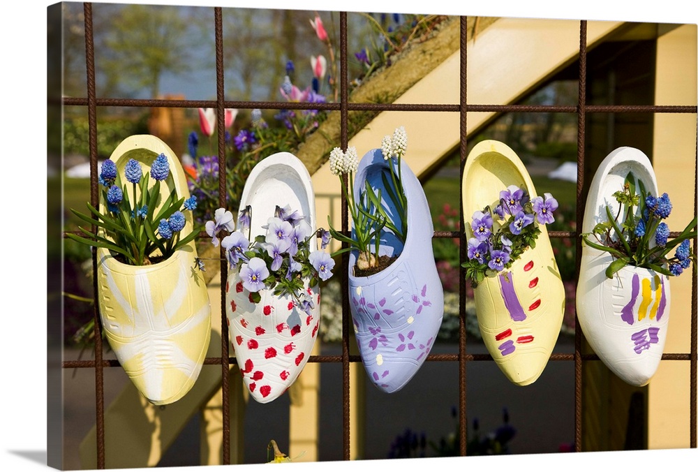 Dutch Wooden Shoes With Flowers Hanging In Keukenhof Gardens