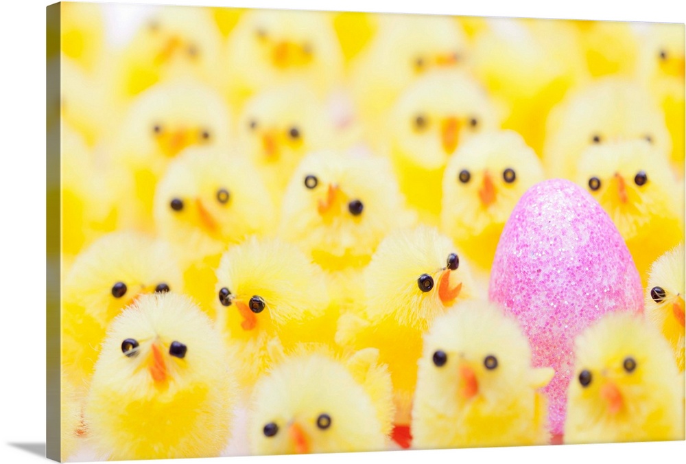 An Easter egg in a crowd of yellow chicks