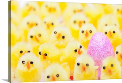 Easter Egg and Chicks