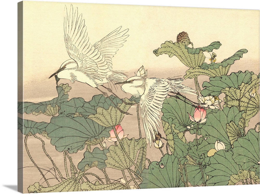 A woodblock print from the 1891 edition of Keinen Kacho Gafu, a four volume set of bird and flower pictures known as kacho...