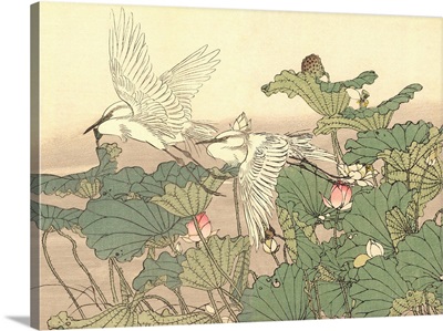 Egrets And Lotus By Imao Keinen