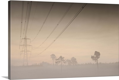 Electricity pylons and cables running through a forest, at dawn in mist.