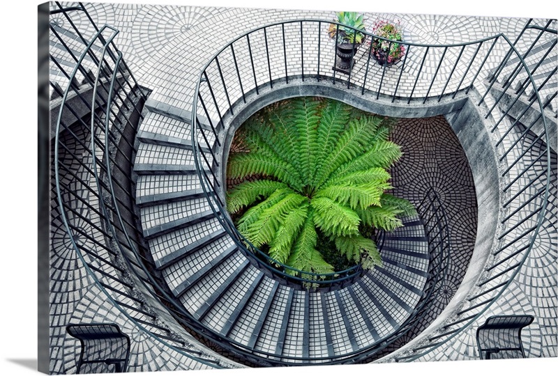 Elephant fern inside circular stairwell Great Big Canvas