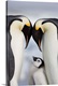 image thumbnail of Emperor Penguins And Chick In Antarctica