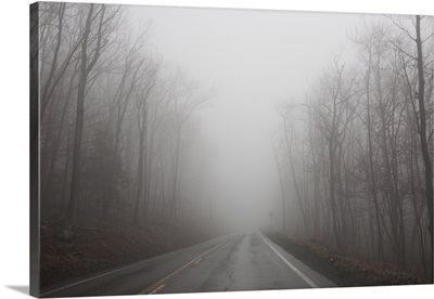 Empty foggy road in central Pennsylvania.