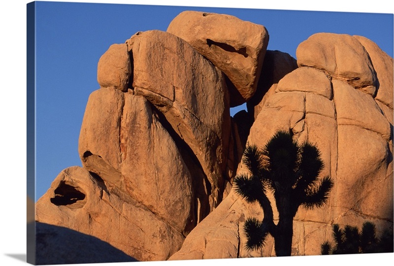 Eroded monzogranite rock at Joshua Tree National Park, California ...