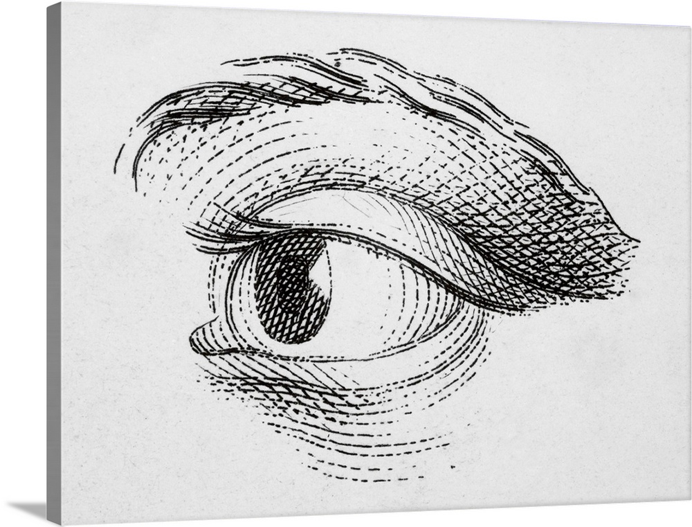 Eye looking upward right. 18th century copper engraving from Treatise for Young Artists.