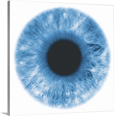Eye, negative image, with blue-green iris