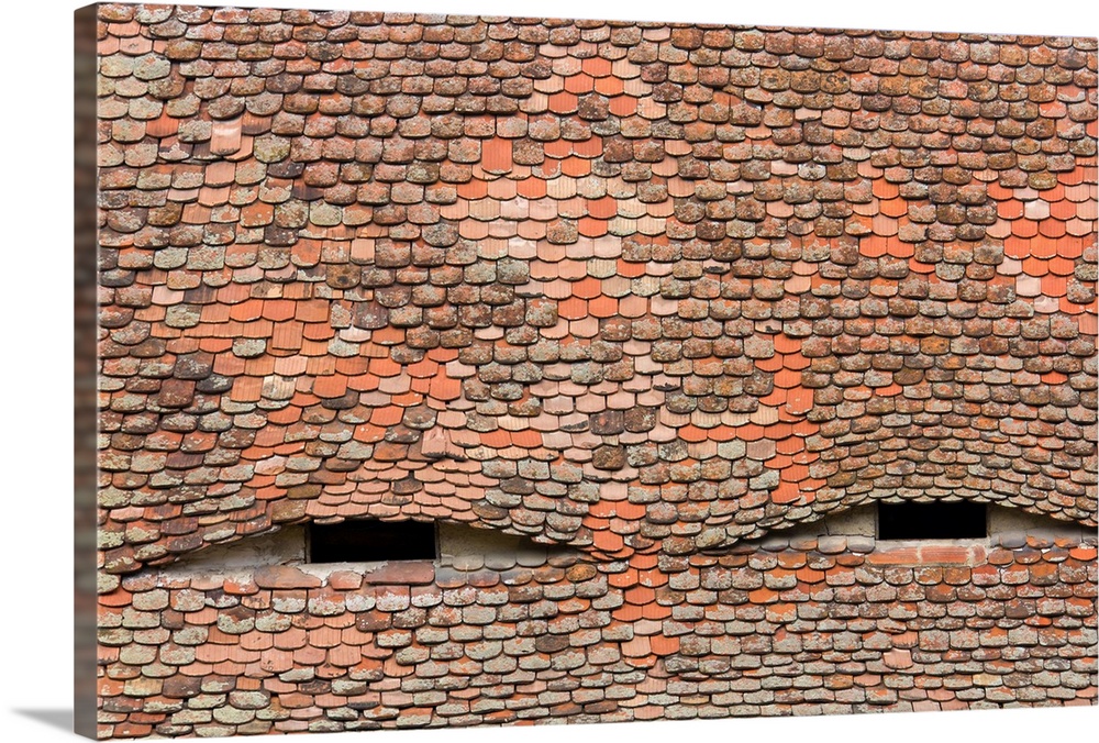 Eyelike dormer windows in a tiled roof