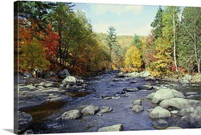 Fall foliage along river in Quebec, Canada